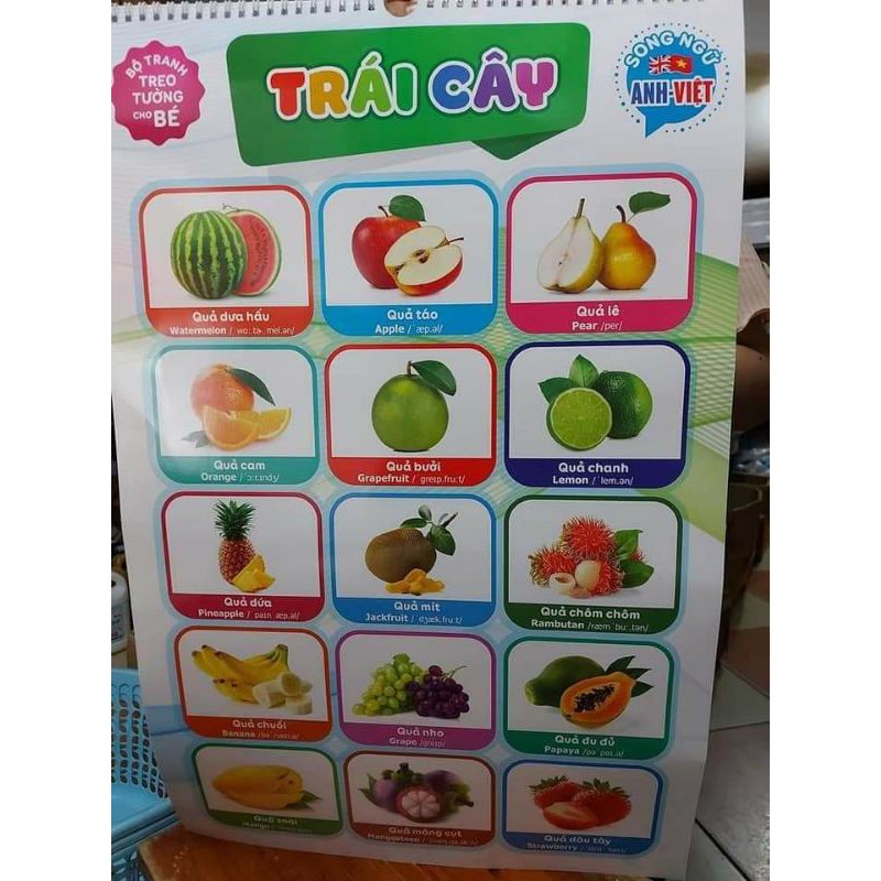 BỘ TRANH TREO TƯỜNG 14 CHỦ ĐỀ