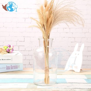 Lọ hoa thủy tinh óng cổ cao, bình bông lọ hoa bình lớn tặng kèm dây dừa trang trí  và nắp gỗ đậy rất cổ điển, sang trọng