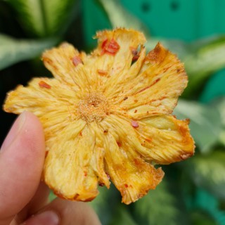 Thơm Mật Sấy Muối Ớt Không Đường ViliFarm | Dứa Sấy Chua Cay Ngọt Tự Nhiên | Ăn Vặt Healthy Ít Calo