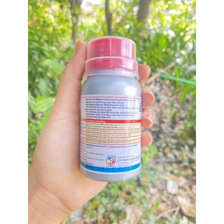 nhân sâm cây trồng mantus chai 100ml