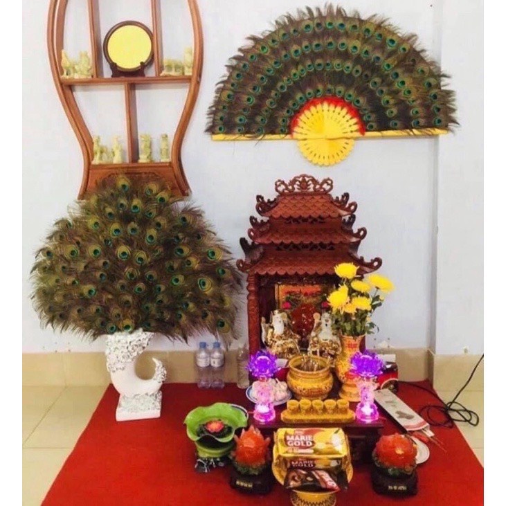 Vật phẩm phong thủy # Lông Công Phong Thủy (10 Cọng)# Đồ Trang Trí Phong Thủy