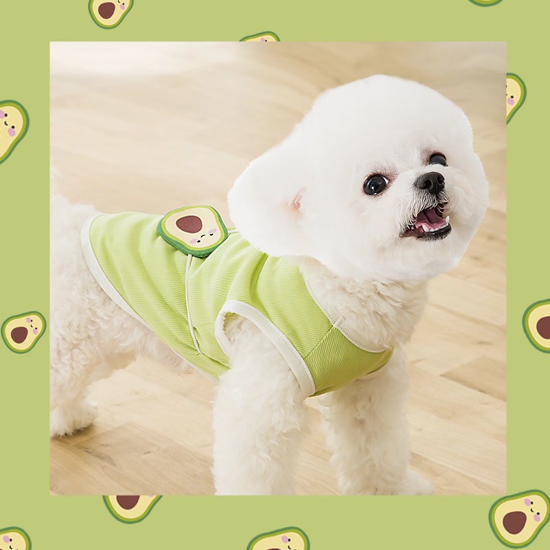 Áo vest bảnh bao quần mỏng mùa xuân và hè cho chó con Teddy Bichon Pomeranian thú cưng nhỏ mèo