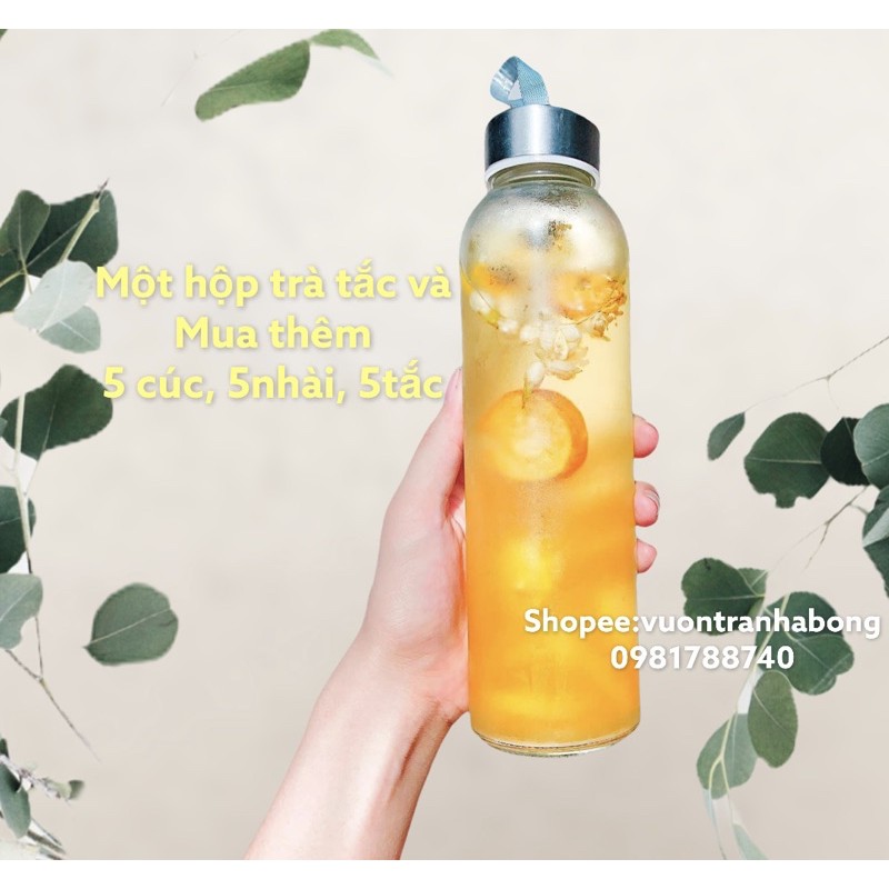 Sức Khỏe & Sắc Đẹp Combo 1 Hộp Trà Tắc, 5 Gói Nhài, 5 Gói Cúc, 5 Gói Tắc
