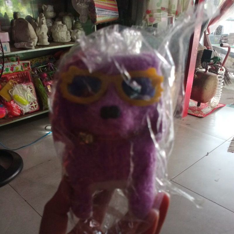 Chó  biết đi biết sủa