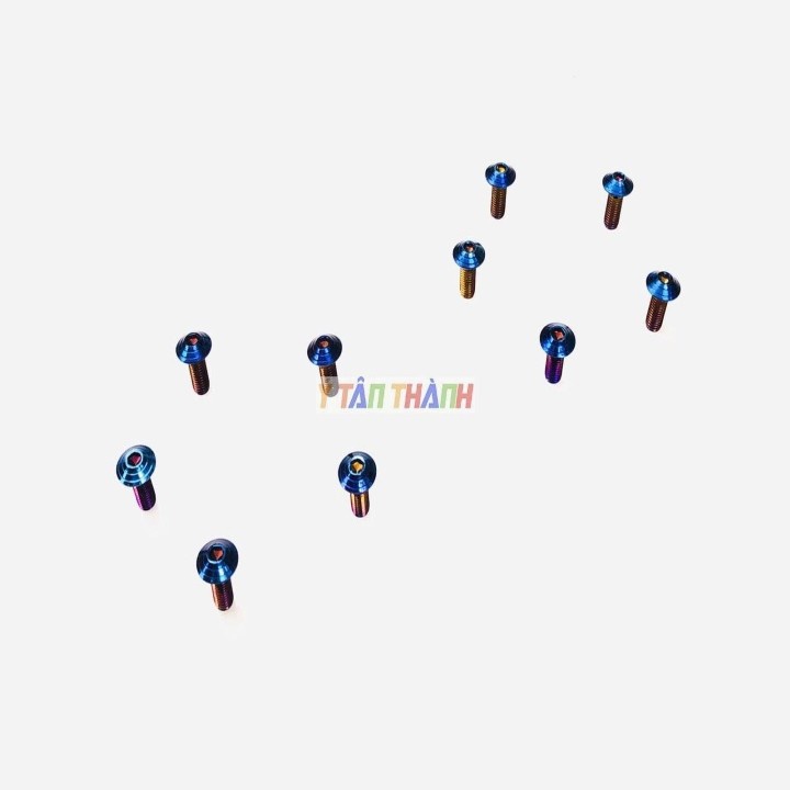 Ốc Đĩa 8Ly Xanh Titan Bộ 10 Con MS1304