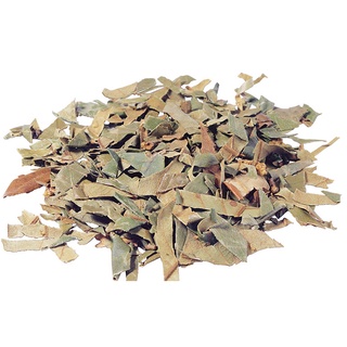 Tỳ bà diệp - lá tỳ bà