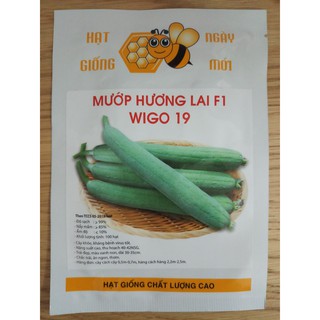 HẠT GIỐNG MƯỚP HƯƠNG LAI F1 (100 hạt)