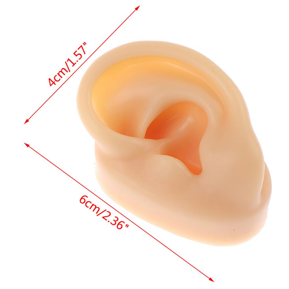 Mô Hình Trưng Bày Khuyên Tai Người Bằng Silicone Tỉ Lệ 1: 1