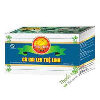 Trà Cà gai leo Tuệ Linh hộp 25 túi lọc - mát gan, thanh nhiệt, giải độc gan từ thảo dược