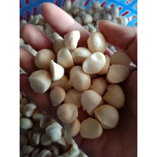 nhân macca vỡ làm sữa 500g