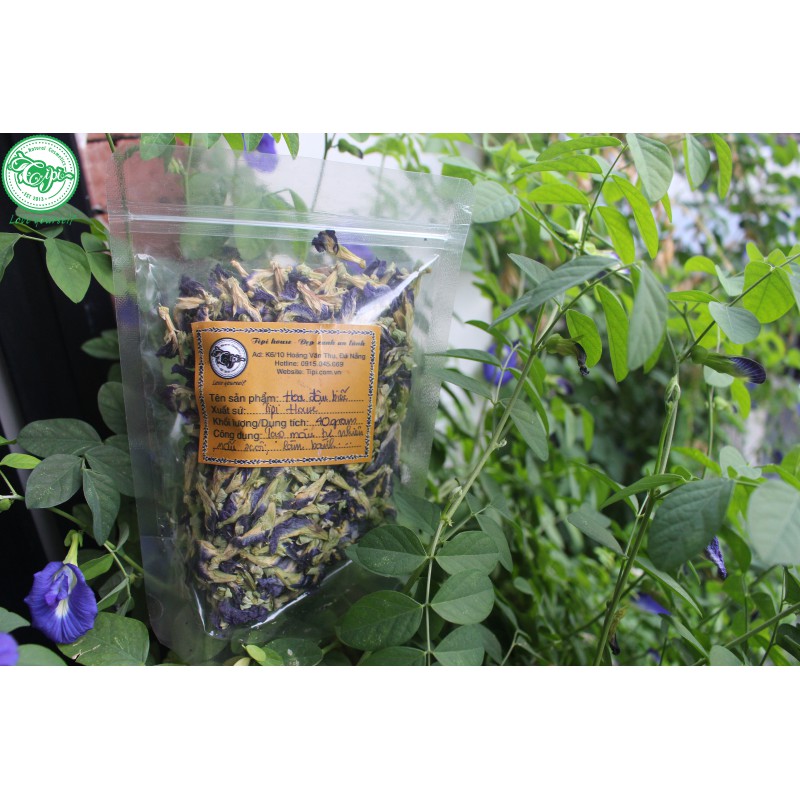 Hoa đậu biếc khô