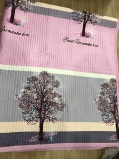 Chăn trần 1 mặt nỉ 1 mặt cotton