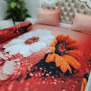 BỘ DRAP THUN LẠNH Ý 5D THÁI LAN CAO CẤP