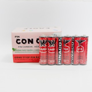 Cặp 2 pin AA Con Ó Pinaco 1.5V cặp 2 pin