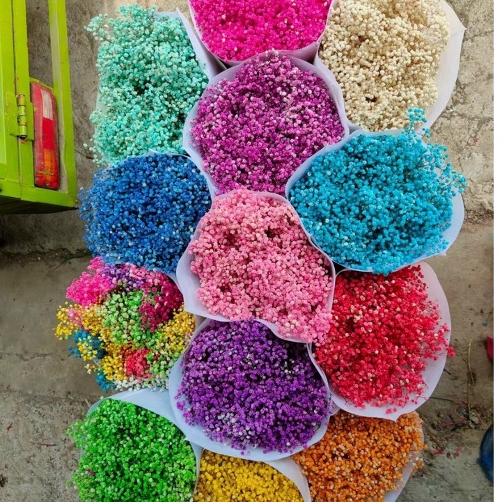 [SIÊU TIẾT KIỆM] Bó hoa baby khô 450-500gr siêu to trang trí decor nội thất tiết kiệm