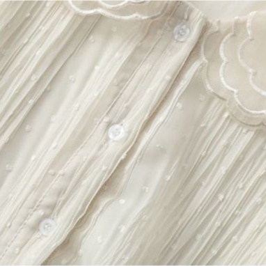 2021 autumn and winter new doll collar Western style lace plus velvet chiffon shirt shirt design sense niche top bottoming shirt