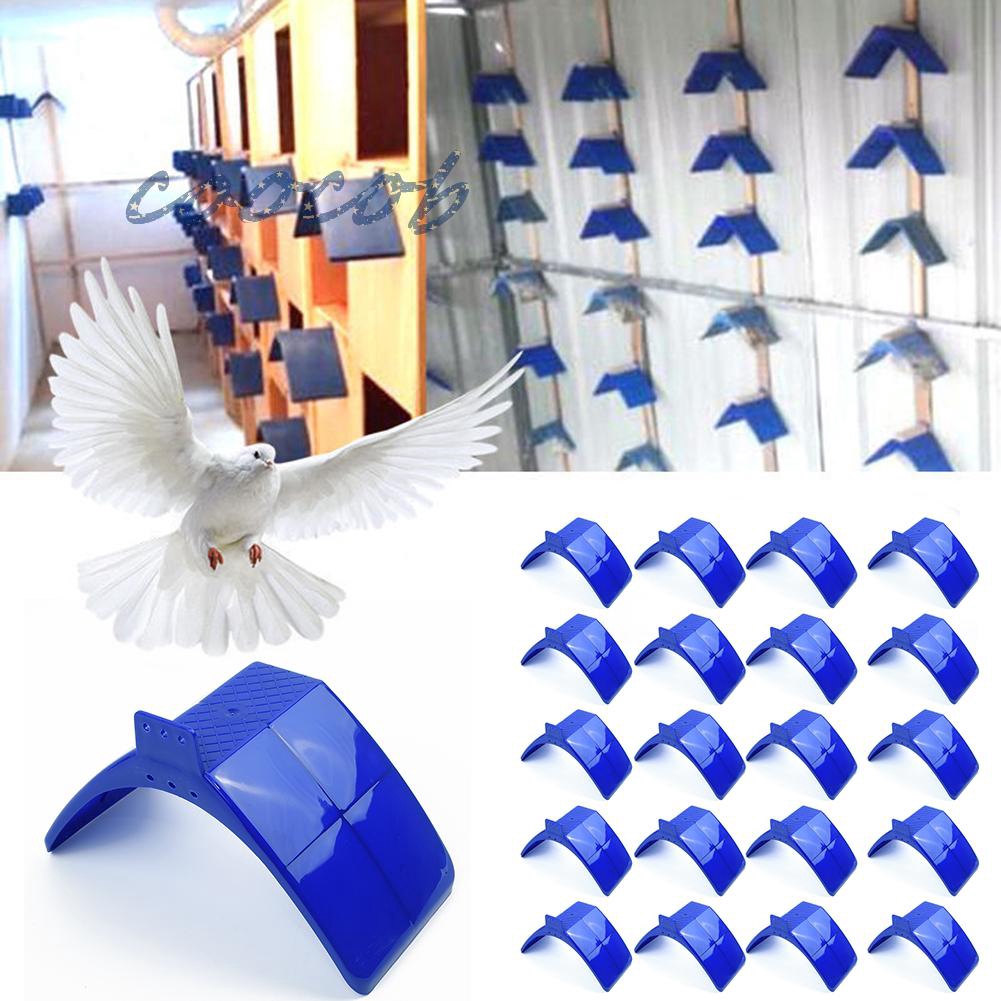 Bộ 20 Cầu Đậu Nghỉ Ngơi Cho Chim Bồ Câu Kiểu Dáng Đẹp Mắt