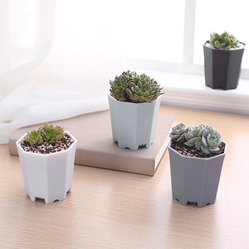 Chậu Hoa Mini Hình Bát Giác Bằng Nhựa Nhiều Màu Sắc Dùng Trang Trí