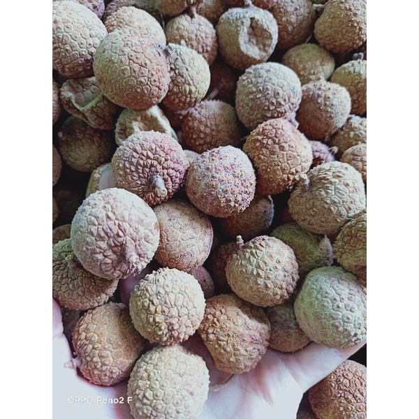 3 kg vải sấy bắc giang | BigBuy360 - bigbuy360.vn