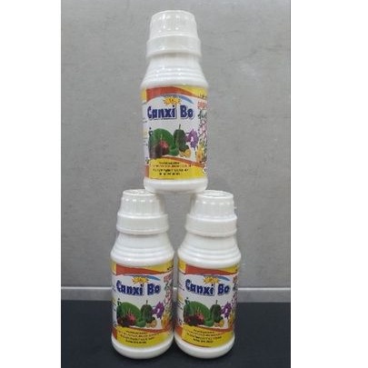 Phân vi lượng siêu Canxi Bo  tăng trái lớn, đậu quả, giữ hoa lâu tàn