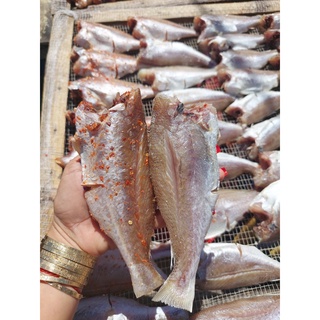 [1KG] Đù 1 nắng ướp ớt - Đặc sản Vũng Tàu - Ship HCM siêu tốc 1-2h