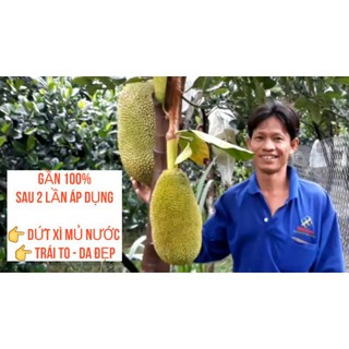 Phân bón vi lượng ĐỒNG CANXI