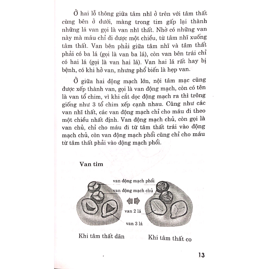 Sách - Bệnh Tim - Chế Độ Dinh Dưỡng Và Tập Luyện