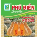 Hạt giống Bí ngô mật(Bí đỏ quả dài) cao sản