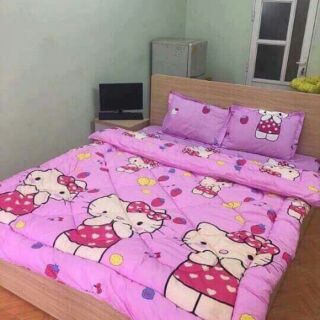 Bộ chăn ga gối hè 5 món combo 2 bộ