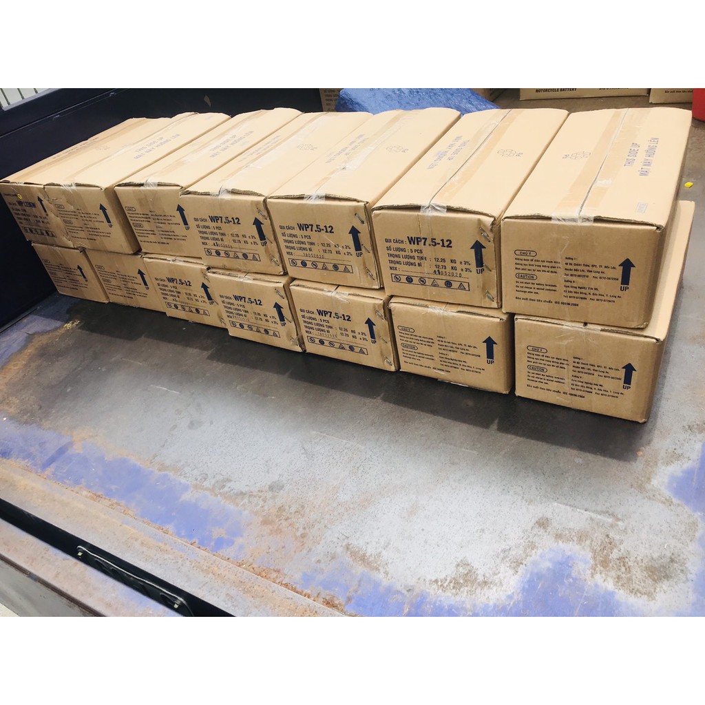 BÌNH ẮC QUY XE ĐẠP ĐIỆN WP12-12SE  - GLOBE