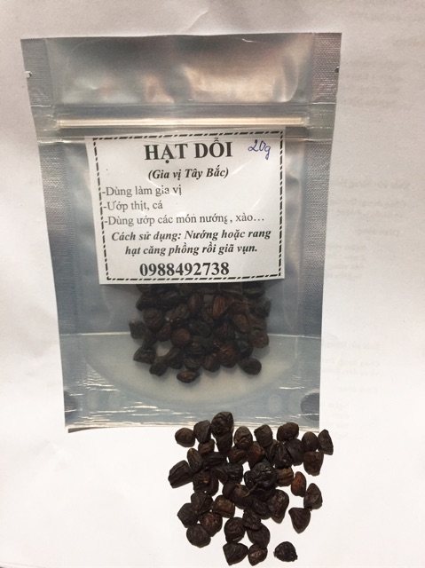 20g-100g Hạt Dổi Nếp Rừng - Gia Vị Tây Bắc ( Loại 1 hạt đều, đẹp, thơm )