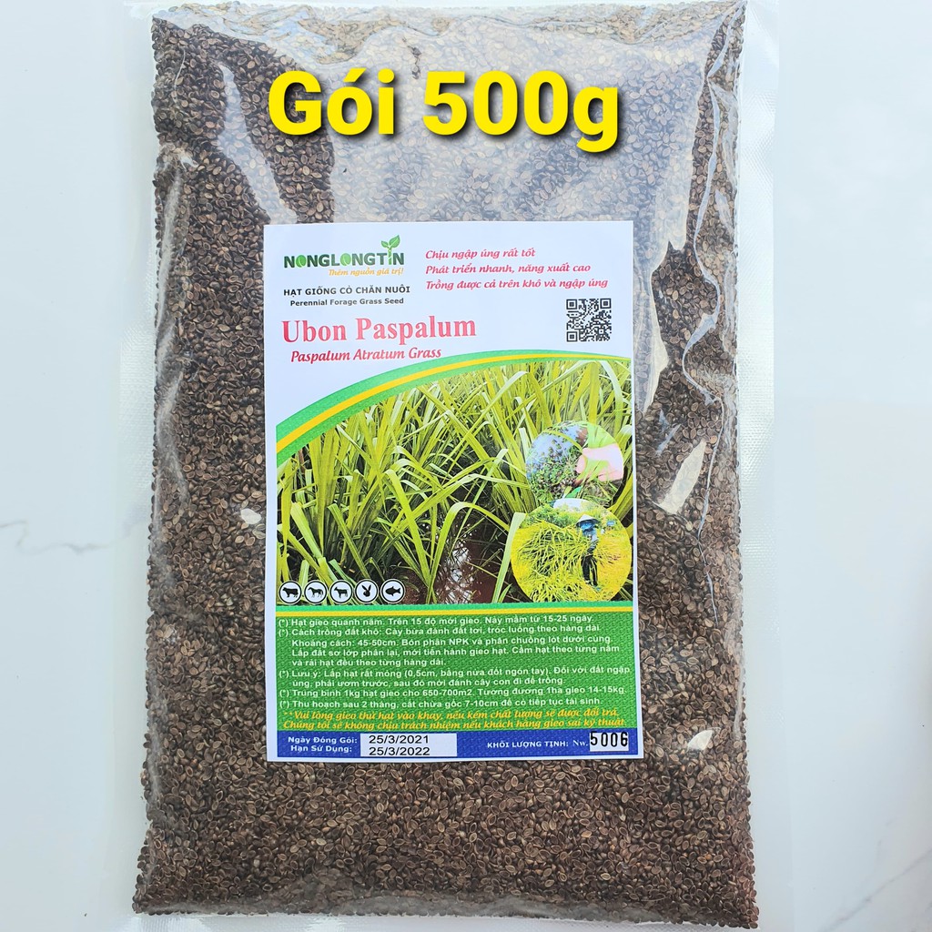 Hạt Giống Cỏ Paspalum Atratum (Gói 500g) -Giống Cỏ Chăn Nuôi Chịu Ngập Úng, Chịu Ngập Nước Khá Tốt