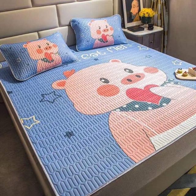 SET CHIẾU+ GỐI ĐIỀU HOÀ TENCEL