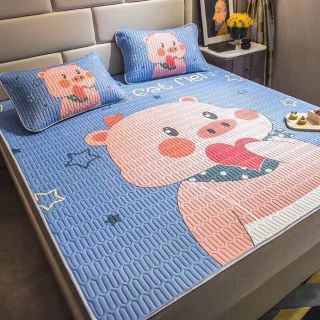 Set chiếu+ gối điều hoà tencel