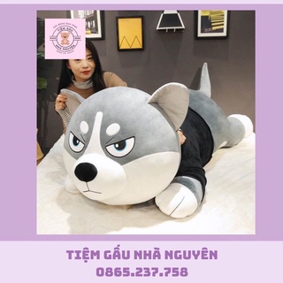 Chó husky bông siêu to khổng lồ - gấu bông husky