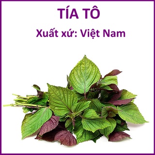 Hạt Giống Rau Tía Tô Lá To (5g)