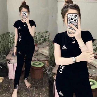 Set Bộ Cotton Quần Dài Phối Chữ Thuê Cực Xinh - Hàng Y HÌnh