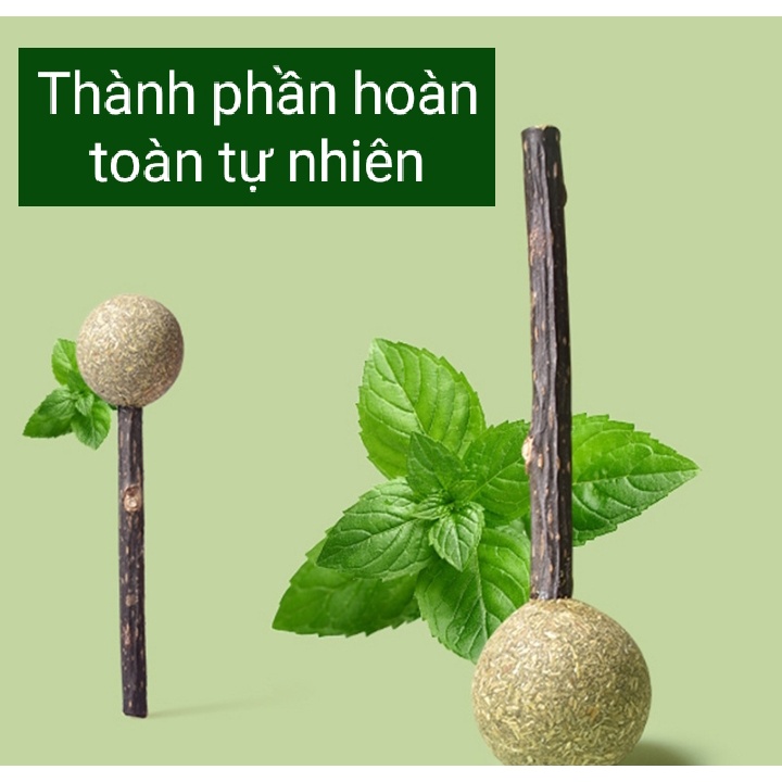 Đồ chơi kẹo mút que catnip - Cỏ bạc hà Giảm Căng thẳng - Sạch răng thơm miệng cho mèo