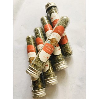 CỎ MÈO – Cỏ Bạc Hà Catnip cao cấp Cho Mèo thư giãn