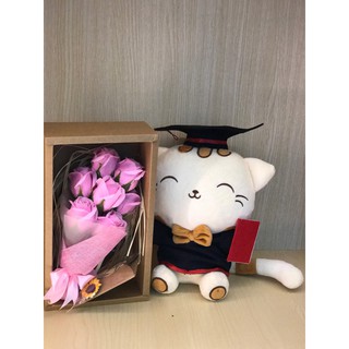 Mèo bông Yami Hiroki tốt nghiệp