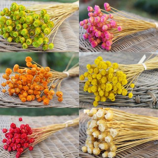 Hoa khô trang trí Resin - Happy flower