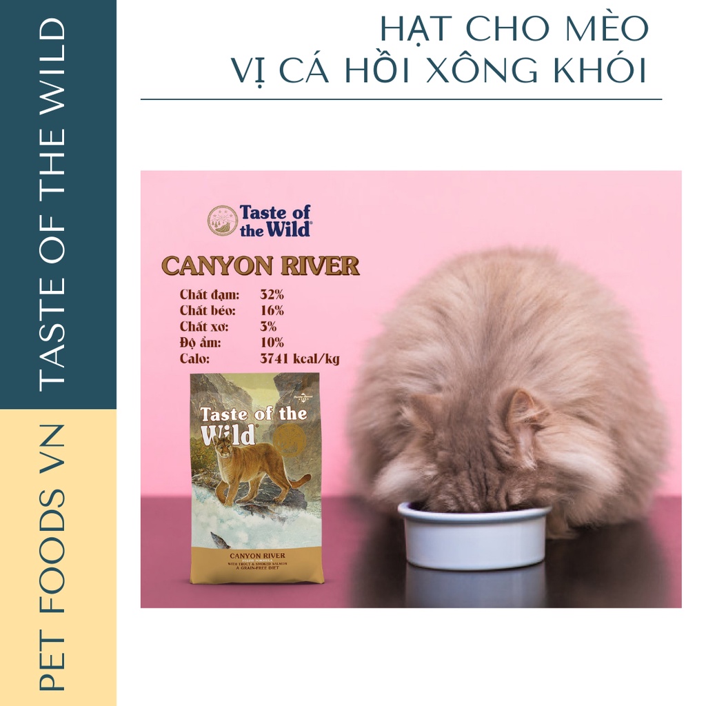 Hạt cho mèo TASTE OF THE WILD Canyon River 500g vị Cá Hồi Vân &amp; Cá Hồi Xông Khói