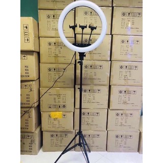 Đèn live stream 54 cm RL-21 ♥️♥️