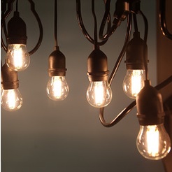 Combo 5 bóng đèn edison G45 vintage