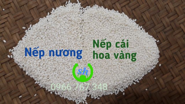 Nếp Nương Bắc 1kg