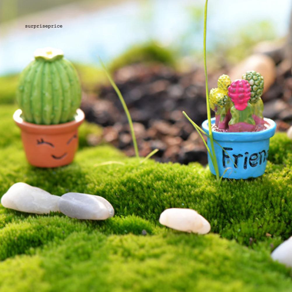 Mô hình chậu cây xương rồng làm từ nhựa resin dùng trang trí tiểu cảnh đa năng