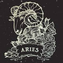 Shop đồ trang trí ARIES