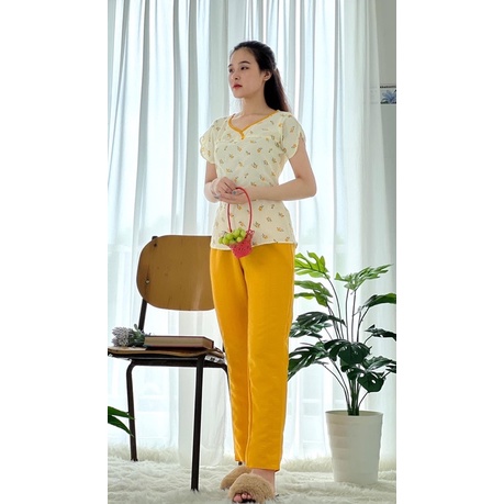 Bộ Mặc Nhà ♥️ Tay Cộc Quần Dài ♥️ Chất Đũi Xốp Tăm (ảnh thật)