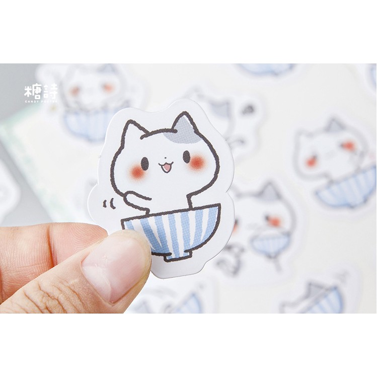 Hộp 45 miếng sticker mẫu mèo con trong tô