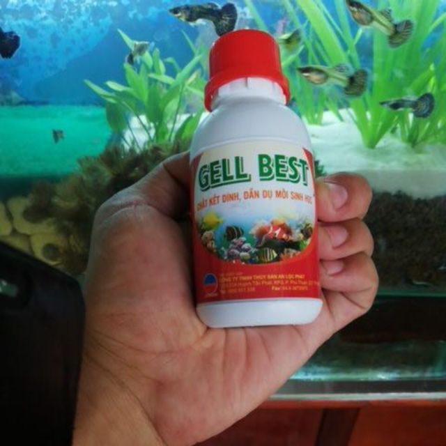 Chất kết dính và dẫn dụ sinh học gell best